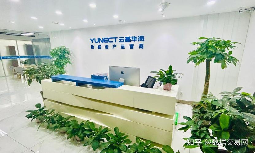 看"数据资产运营商"如何赢在起跑线